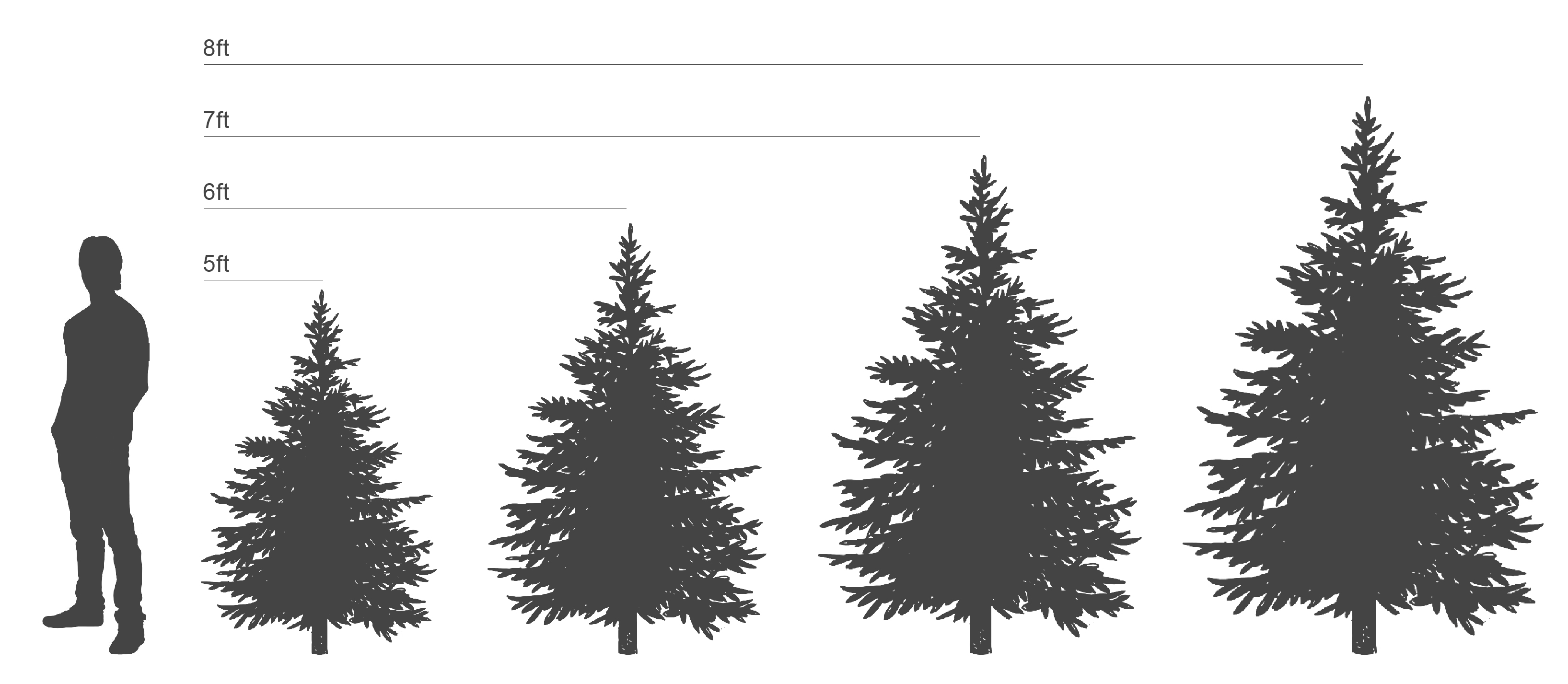 tree size free